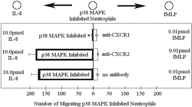 Figure 10.