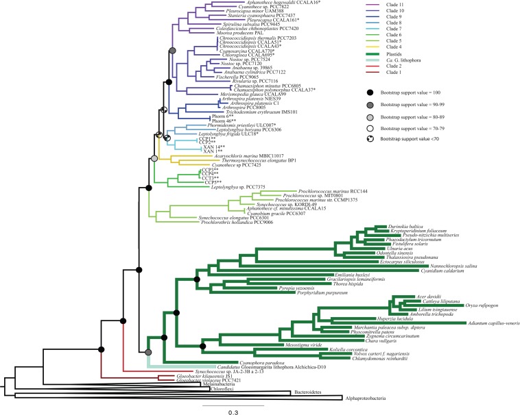 FIGURE 2