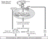 Figure 10.4