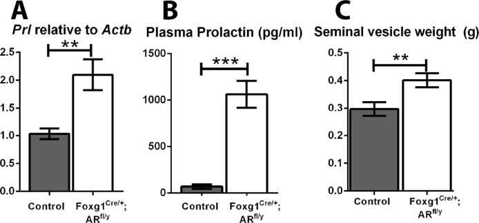 Fig 7