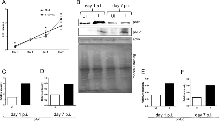 Fig 5