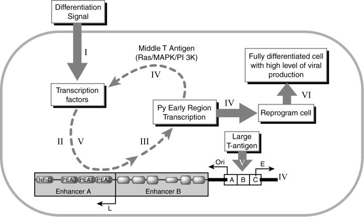 FIG. 3