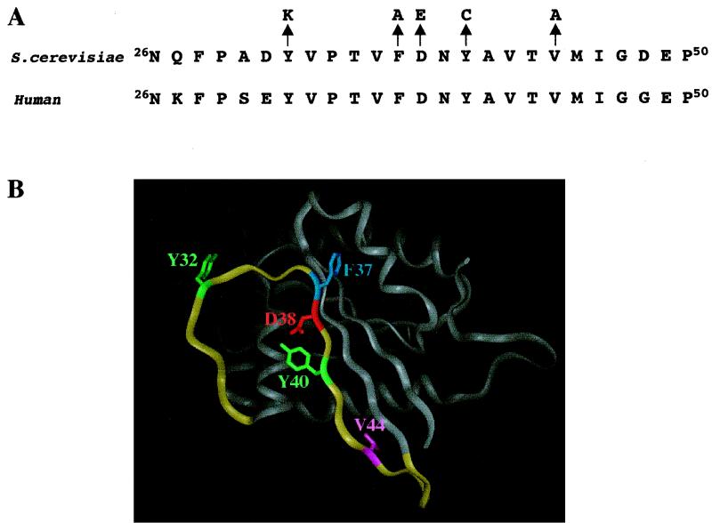 FIG. 1