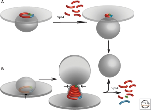 Figure 5.