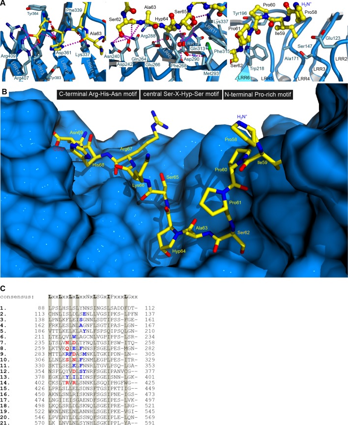 Figure 1—figure supplement 2.