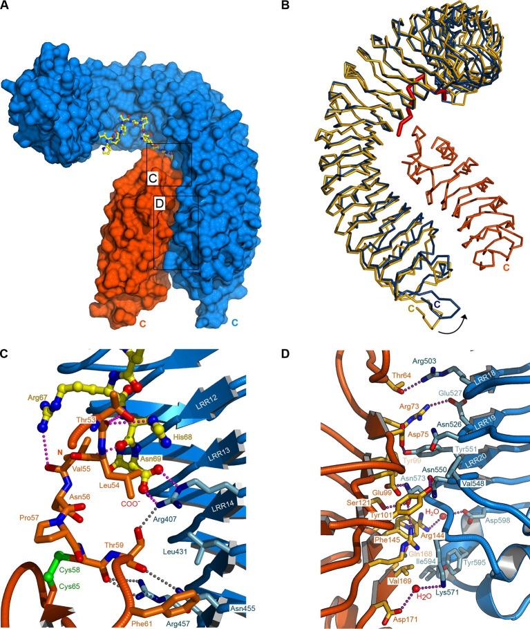 Figure 4.