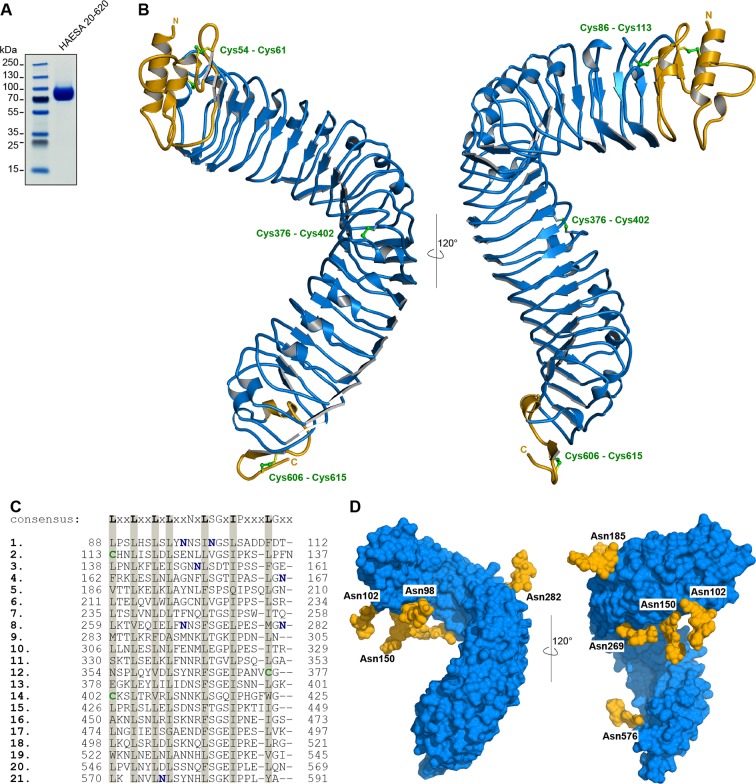 Figure 1—figure supplement 1.