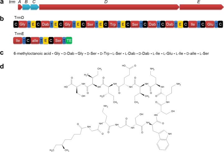 FIG 1