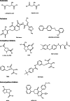 Fig. 1