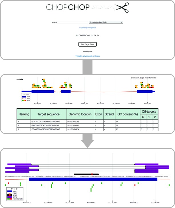 Figure 1.