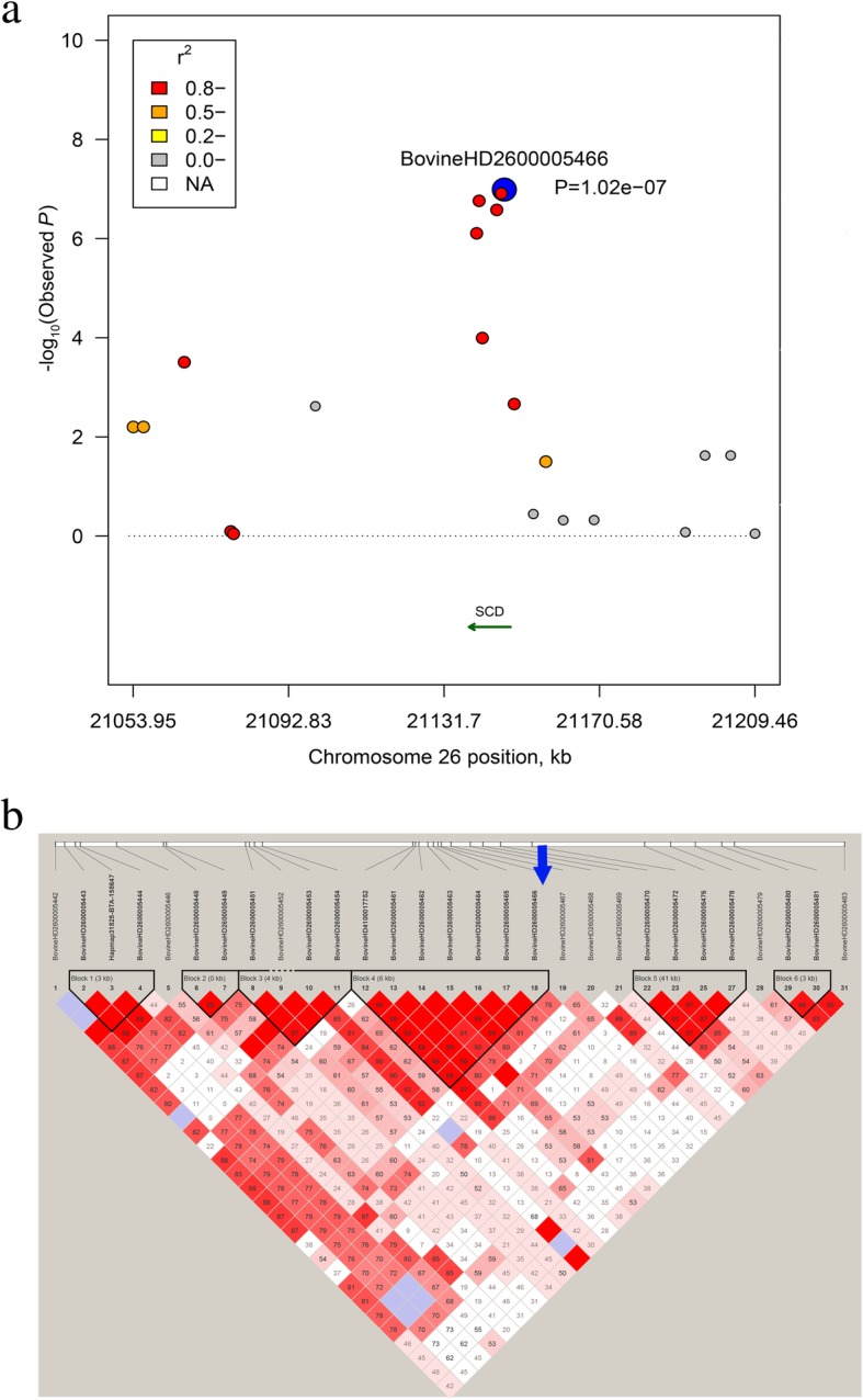 Fig. 2