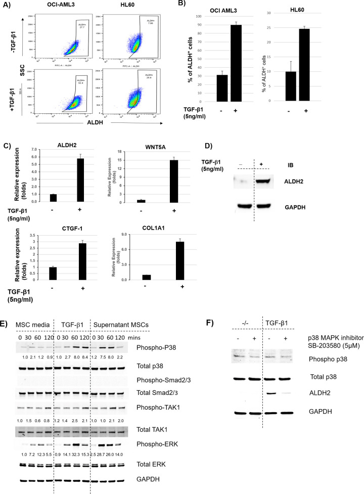 Fig 4