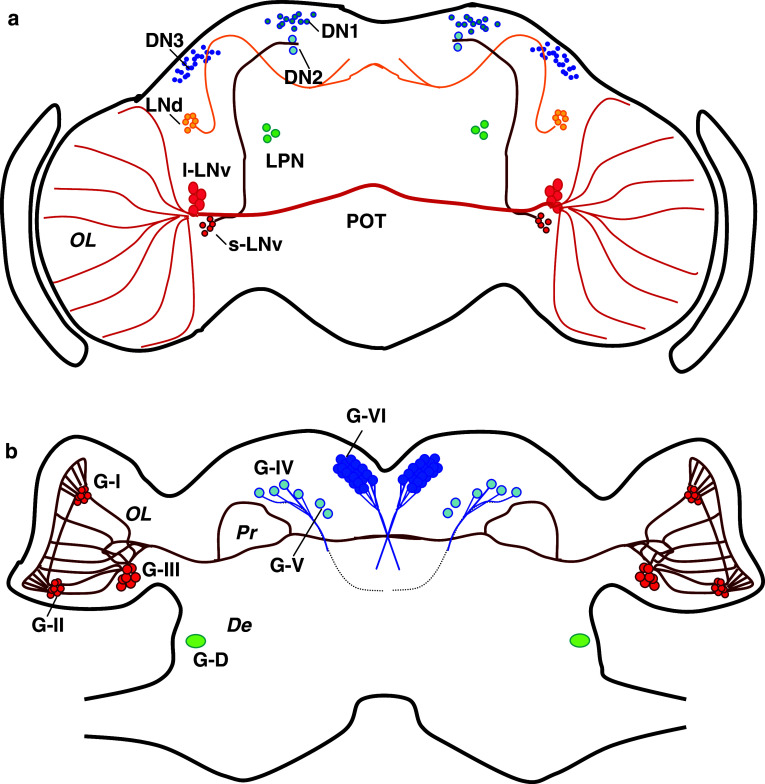 Fig. 1