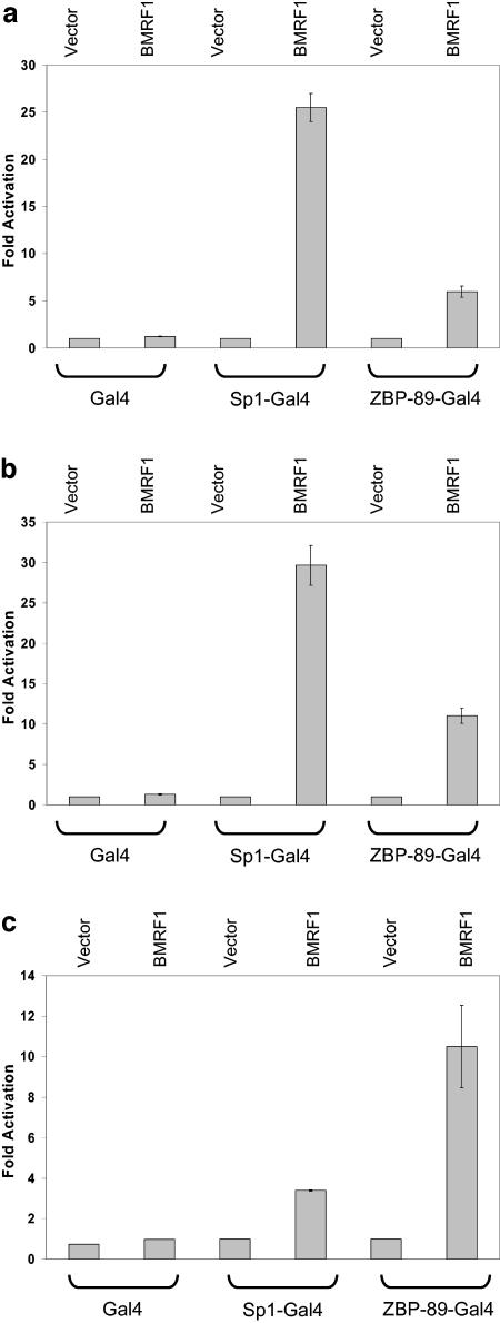 FIG. 7.