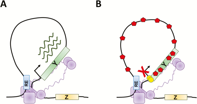 FIGURE 2.
