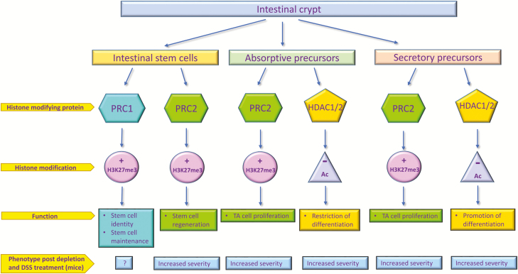 FIGURE 3.
