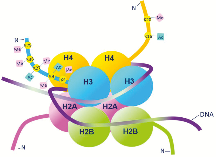 FIGURE 1.