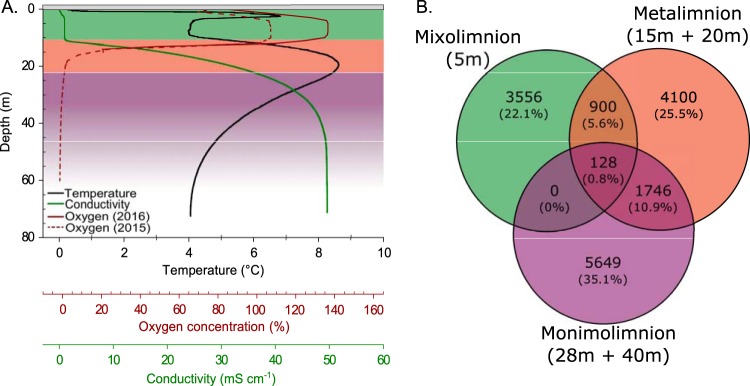 FIG 2