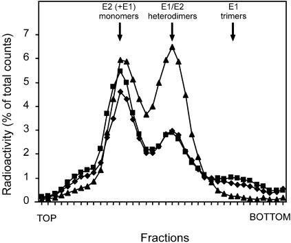 FIG. 5.