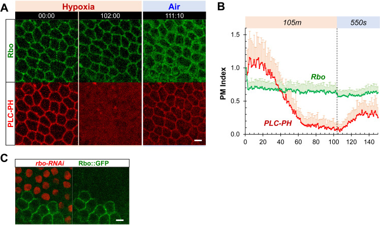 Figure 5—figure supplement 1.