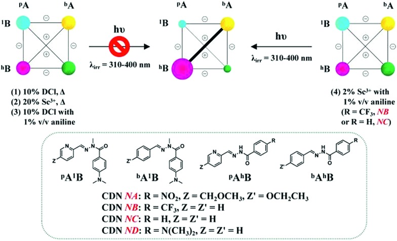 Scheme 3