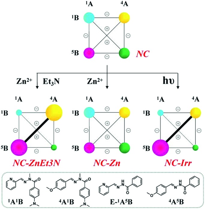 Scheme 6