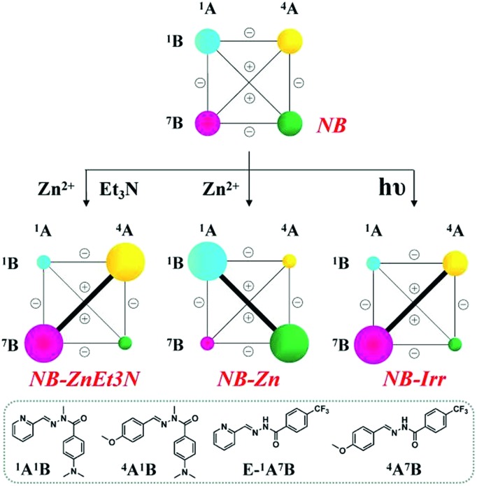 Scheme 5