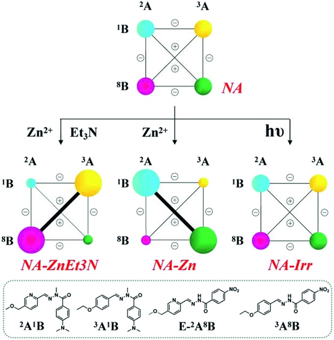 Scheme 4