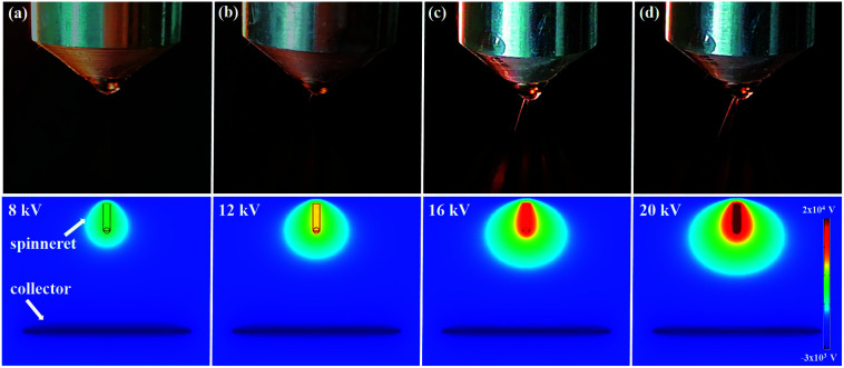 Fig. 3