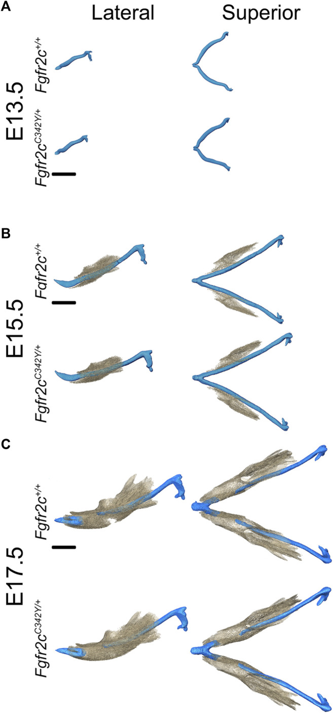 FIGURE 3