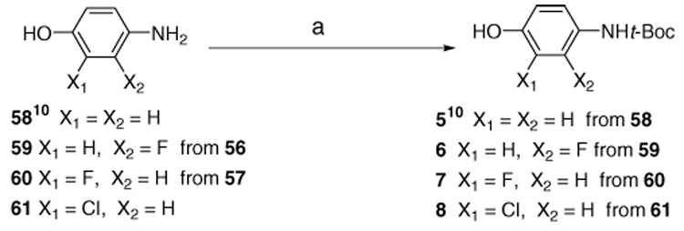 Scheme 5