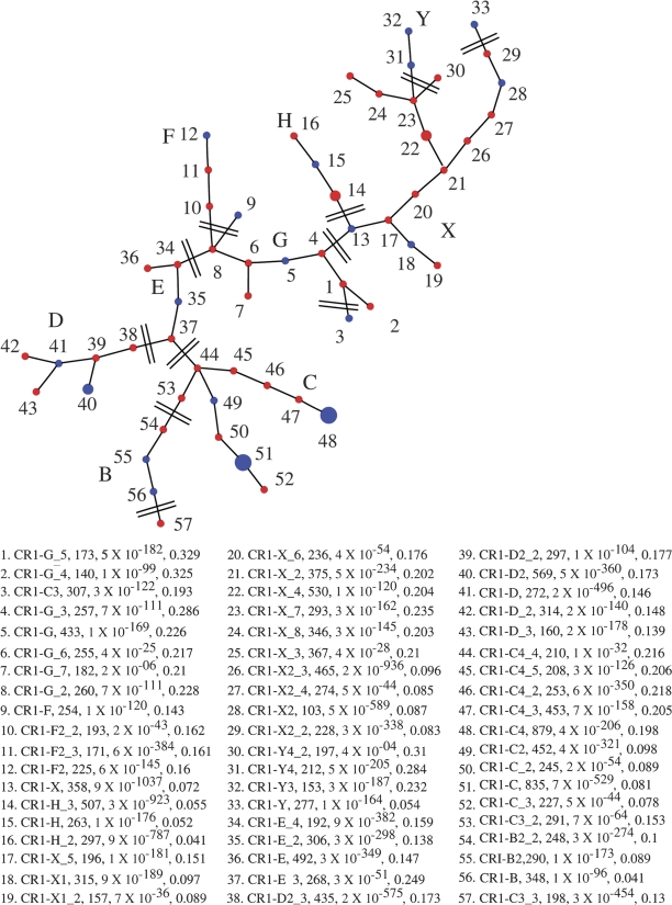 FIG. 2.—