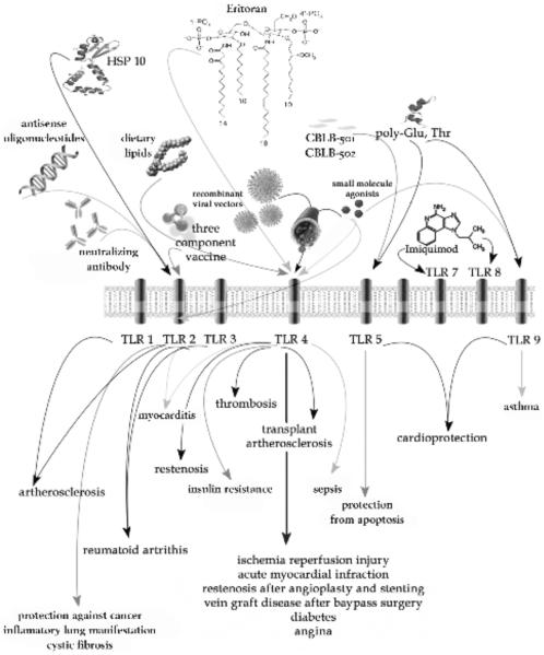 Fig. (4)