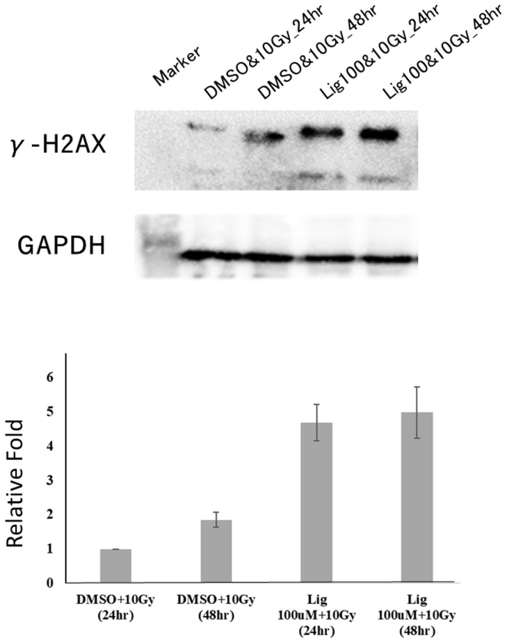 Figure 6