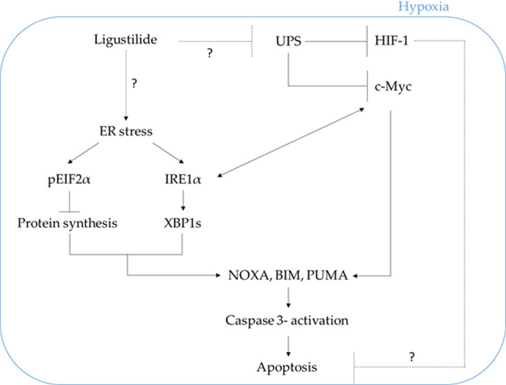 Figure 7