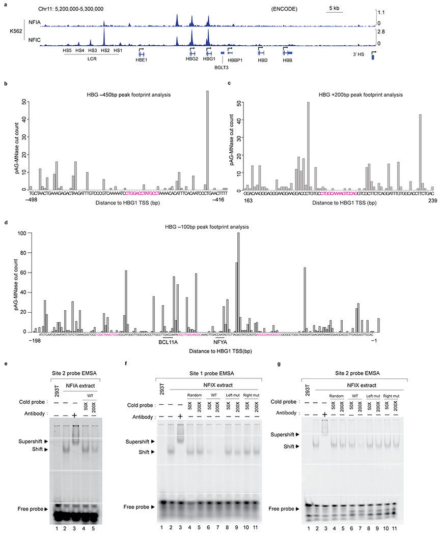 Extended Data Fig. 8