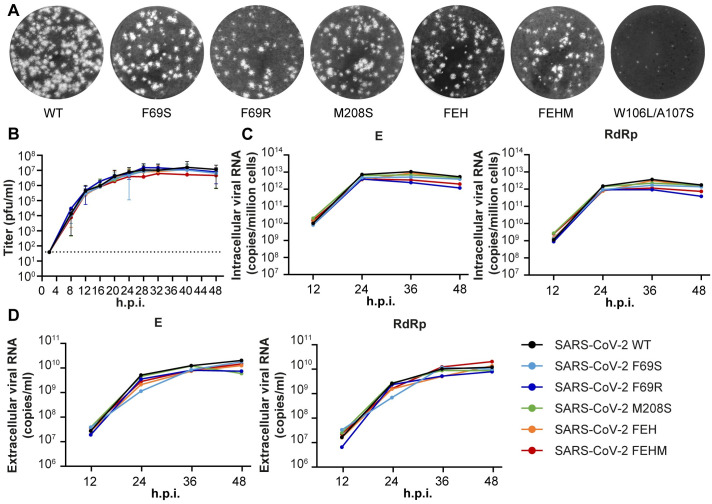 Fig 3