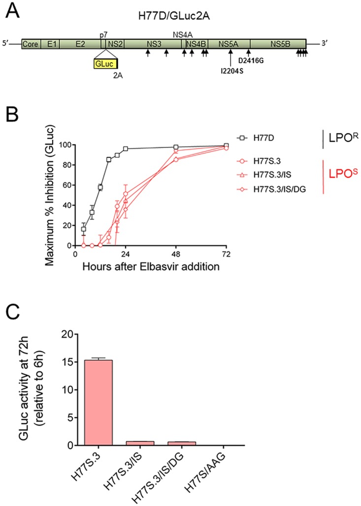 Fig 2