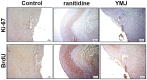 Fig 10