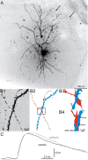 Figure 3.