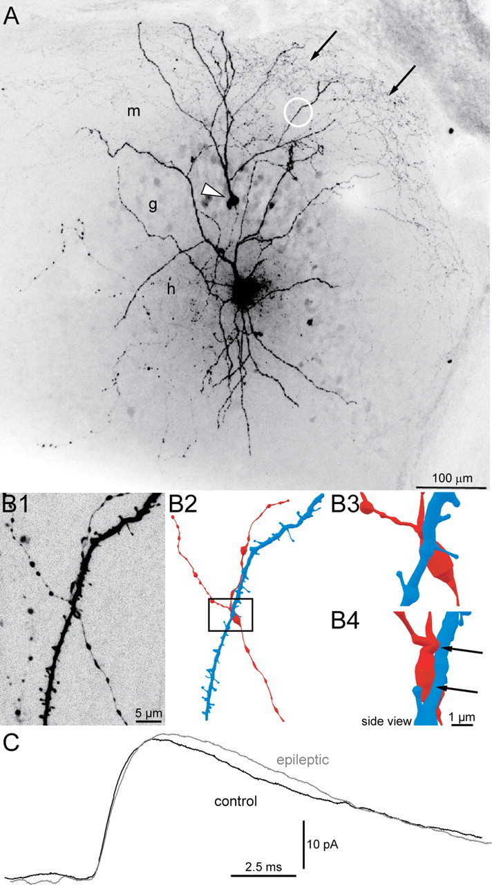 Figure 3.