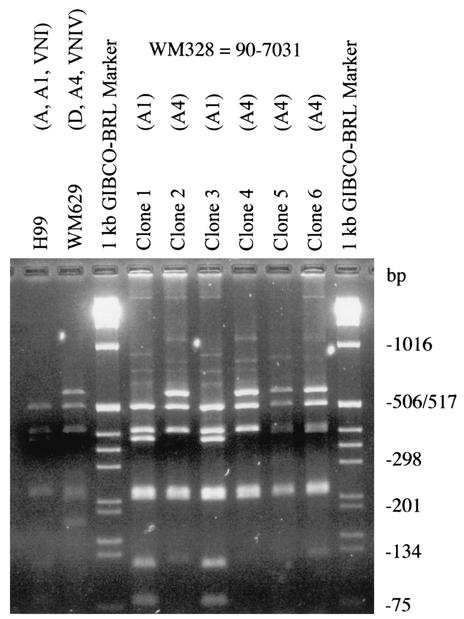 FIG. 2.