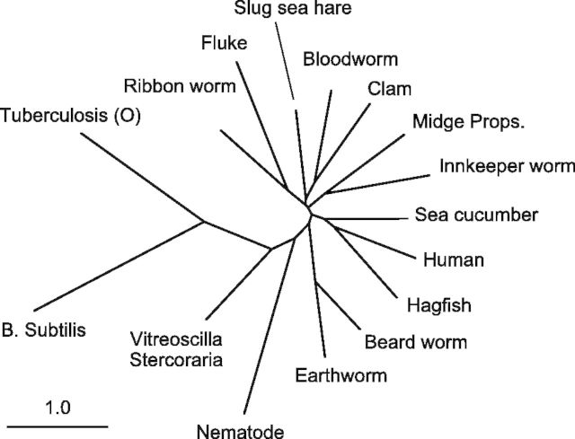 Fig. 7.