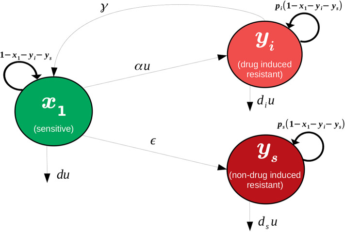 Figure 19