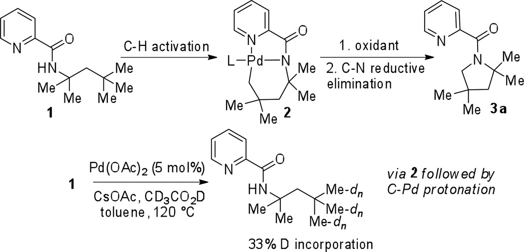 Scheme 2