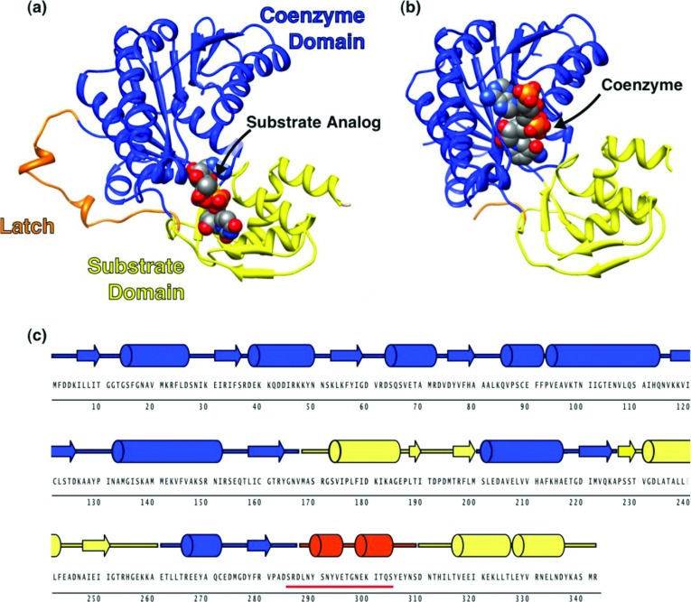 Figure 2