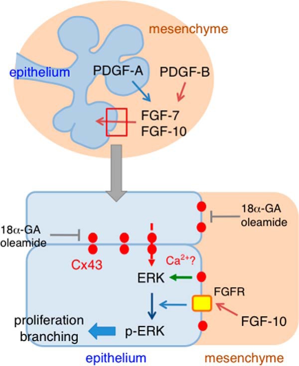 FIGURE 10.