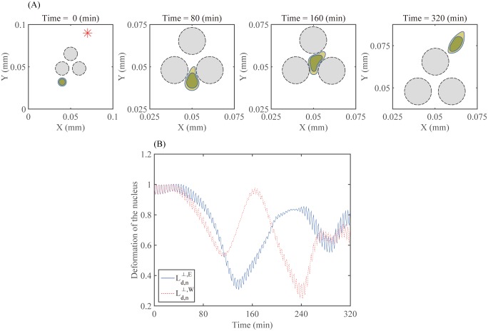 Fig 12