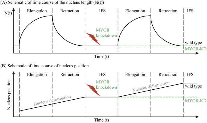 Fig 5