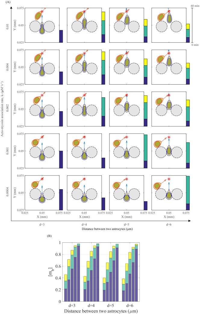 Fig 20